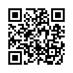 767161334GP QRCode