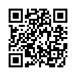 80-190228-12P QRCode