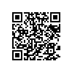 813-22-038-30-006101 QRCode