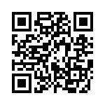 85-190224-07P QRCode