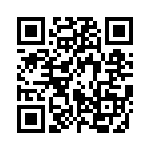 85-190224-28P QRCode