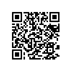 851-87-039-20-001101 QRCode