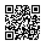 85106T2461P50 QRCode