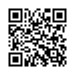 91276-419HLF QRCode