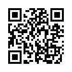 913A704B QRCode