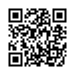 919-384J-51P QRCode