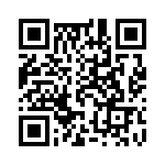 91900-31125 QRCode