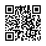 91911-31111 QRCode