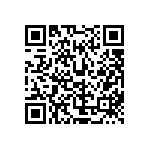 937-SP-361010-K2-A161 QRCode