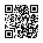 95278-101B50 QRCode