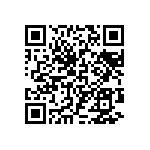 97-3106B22-10SY-417-940 QRCode