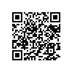 97-3106B22-11PY-417-940 QRCode