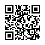 97-3107B20-17S QRCode