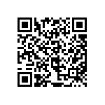 97-3107B22-20P-417 QRCode