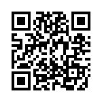 A20222307 QRCode