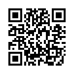 A38220304 QRCode