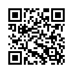 AT29BV020-12TI QRCode