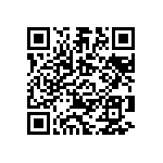 B25620B1306K981 QRCode