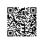 B32521C6333J289 QRCode