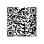 B32529C1333K000 QRCode