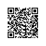 B32529C1334K000 QRCode