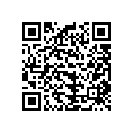 B32529C3222K000 QRCode