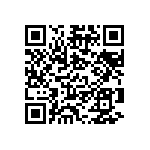 B32529D5335M189 QRCode