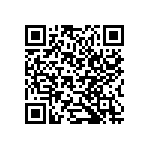 B32560J6103K189 QRCode