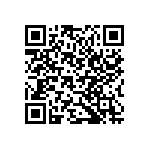 B32560J6104K189 QRCode