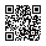 B3803 QRCode