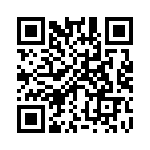 B41231B4129M QRCode