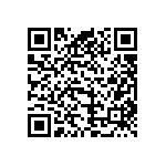 B41505A4109M000 QRCode