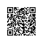 B43305B2228M000 QRCode