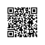 B57431V2472K062 QRCode