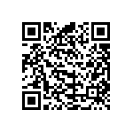 B57451V5333J062 QRCode