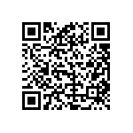 B64290L0647X038 QRCode