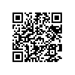 B64290L0743X065 QRCode