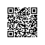 B65813J0250A041 QRCode