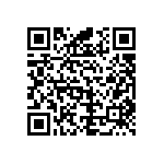 B66453K0000X187 QRCode