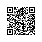 B72242L0381K102 QRCode