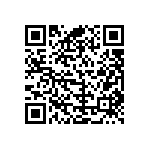 B72250L0461K100 QRCode