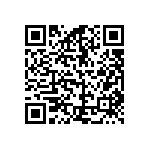 B88069X0790T502 QRCode