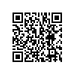 BCS-123-L-D-DE-038 QRCode