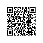 BCS-131-L-S-DE-028 QRCode