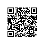 BCS-131-L-S-HE-029 QRCode