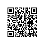 BCS-133-L-D-DE-017 QRCode