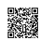 BCS-133-L-D-DE-041 QRCode