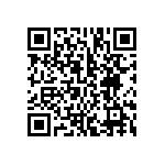 BCS-133-L-S-DE-024 QRCode