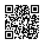 BCV27 QRCode