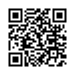 BFC233613333 QRCode